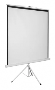 Экран для проектора DEXP 119&amp;quot; TM-80 1:1, 213x213 см, на штативе, штатив, Matte White