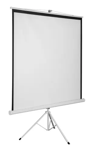 Экран для проектора DEXP 119&amp;quot; TM-80 1:1, 213x213 см, на штативе, штатив, Matte White