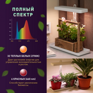 Фитосветильник ЭРА FITO-20W-QLED розовый