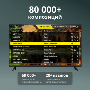 Караоке система EVOBOX Premium