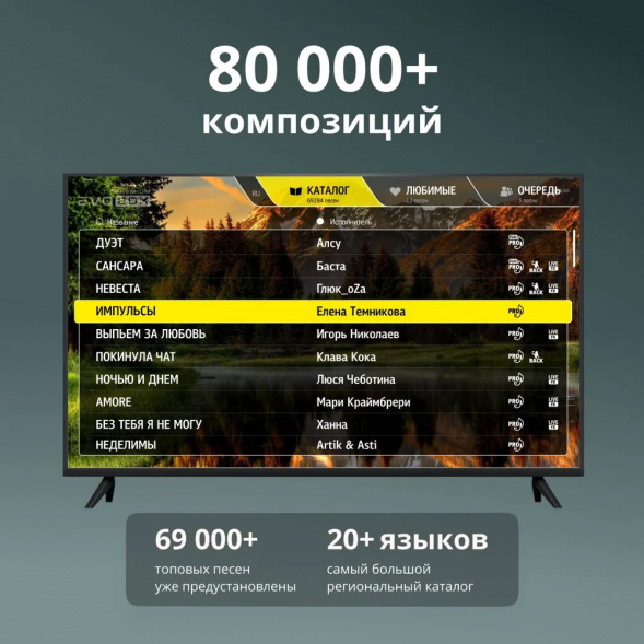 Караоке система EVOBOX Premium