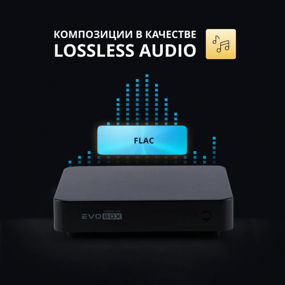 Караоке система EVOBOX Premium