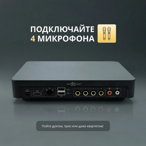 Караоке система EVOBOX Premium