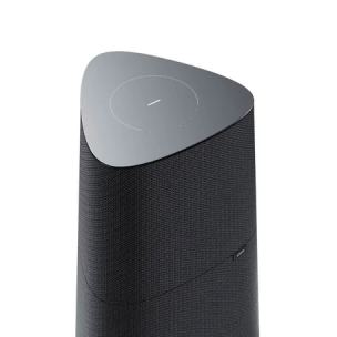 Беспроводная мультирум-колонка Loewe klang mr5