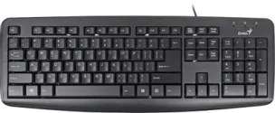 Клавиатура Genius KB110X, PS/2 [31300710104]