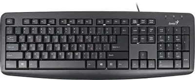 Клавиатура Genius KB110X, PS/2 [31300710104]