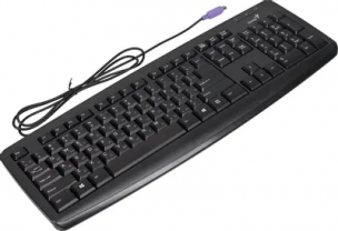 Клавиатура Genius KB110X, PS/2 [31300710104]