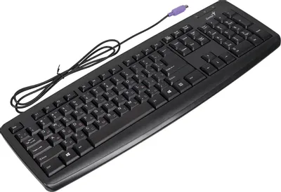 Клавиатура Genius KB110X, PS/2 [31300710104]