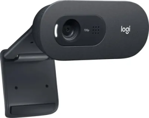 Web-камера Logitech C505e